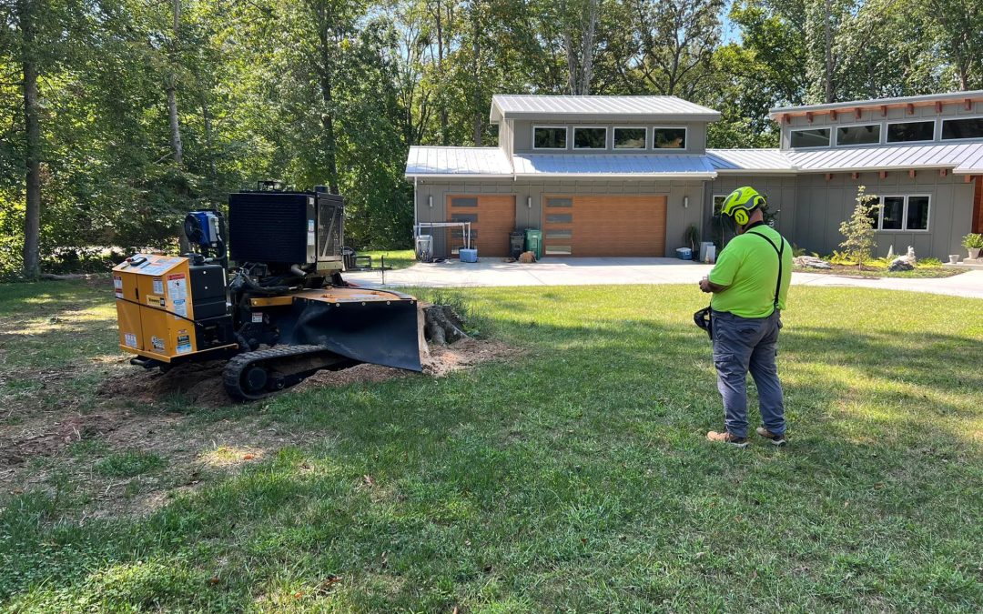 Stump Grinding for a Safer Yard in Knoxville