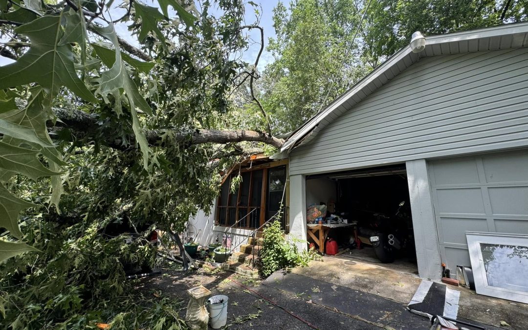 Emergency Tree Removal with 80-Ton Crane