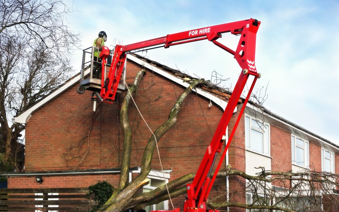 Emergency Tree Removal for Partially Fallen Tree on Knoxville Home