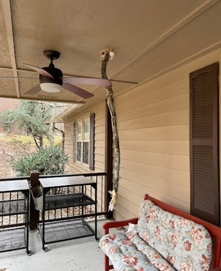 Emergency Tree Removal Service in Knoxville TN