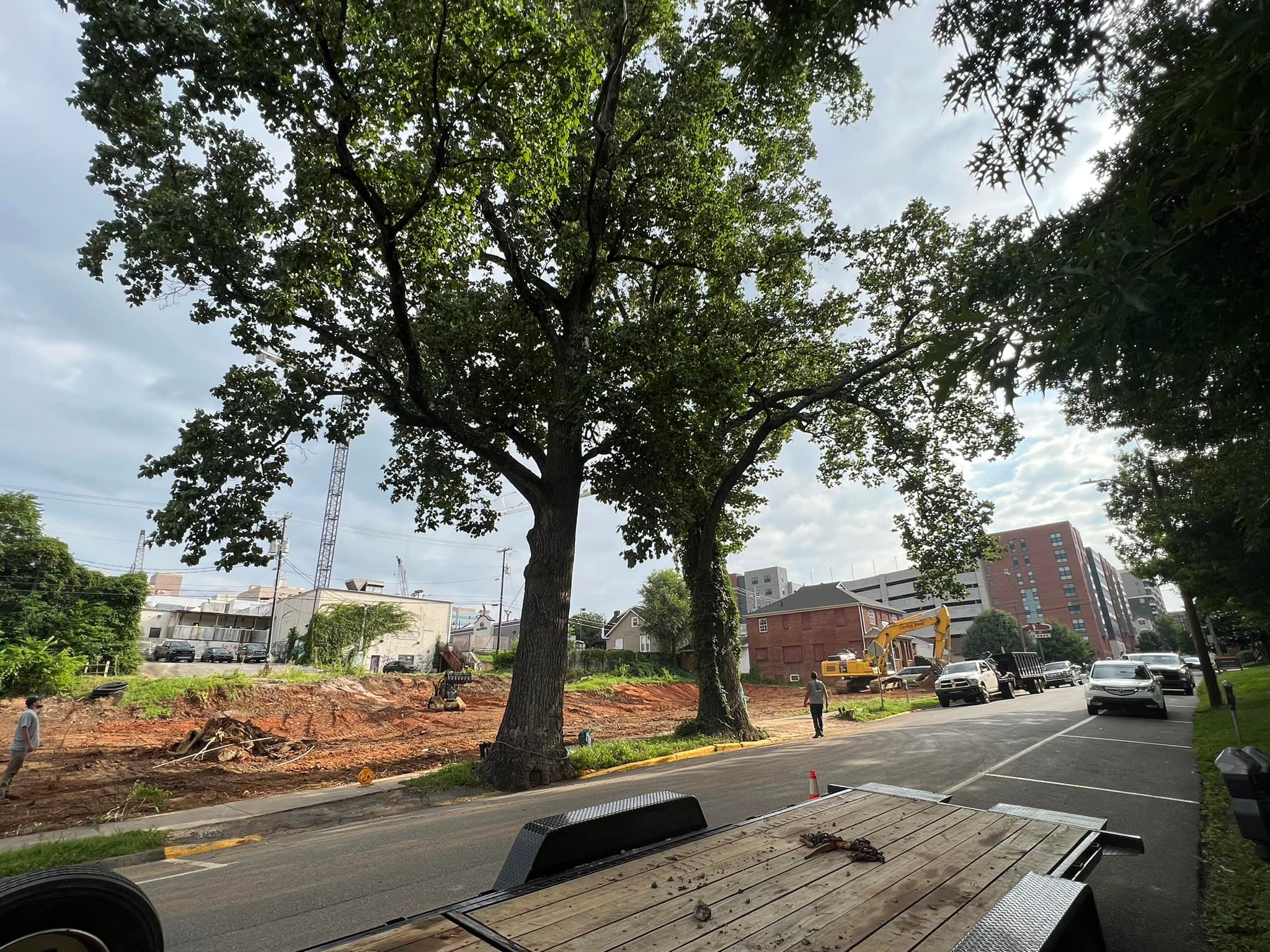 Land & Lot Clearing service in Knoxville, TN