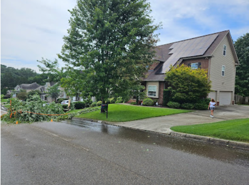 Emergency Tree Removal in Knoxville: Pro Tree Tackles Potential Winter Tree Hazard