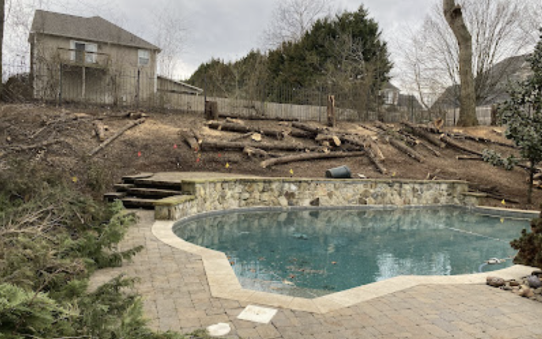 Landscape Transformation: Pro Tree of Knoxville’s Expert Tree Removal