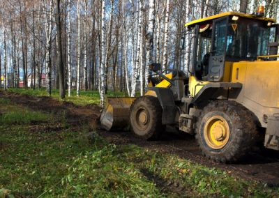 Tree Fertilization & Health Services Knoxville TN