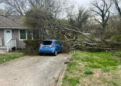 Tree Hauling Services Knoxville TN