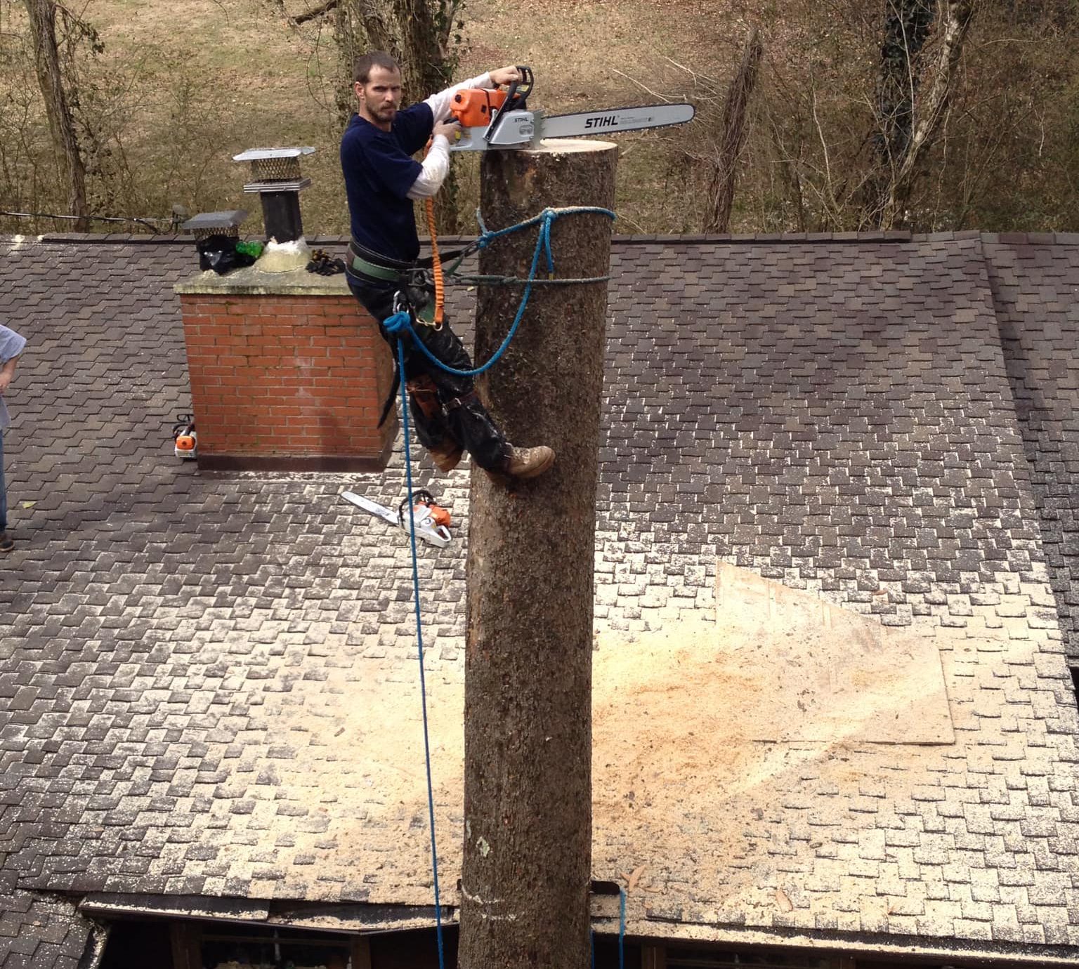 Tree removal close to a house wall in Knoxville, TN