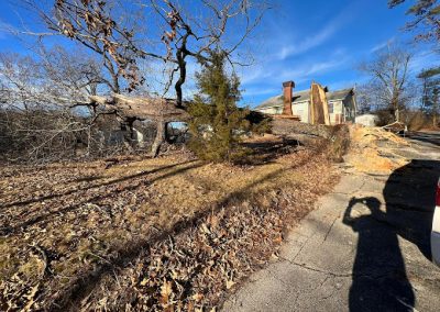 Tree Removal Pigeon Forge TN