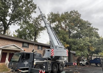 Tree Removal Services Knoxville TN