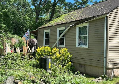 Tree Removal Sevierville TN