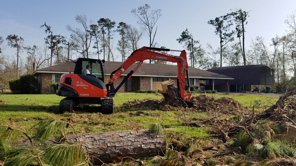 Residential Tree Removal and Stump Grinding