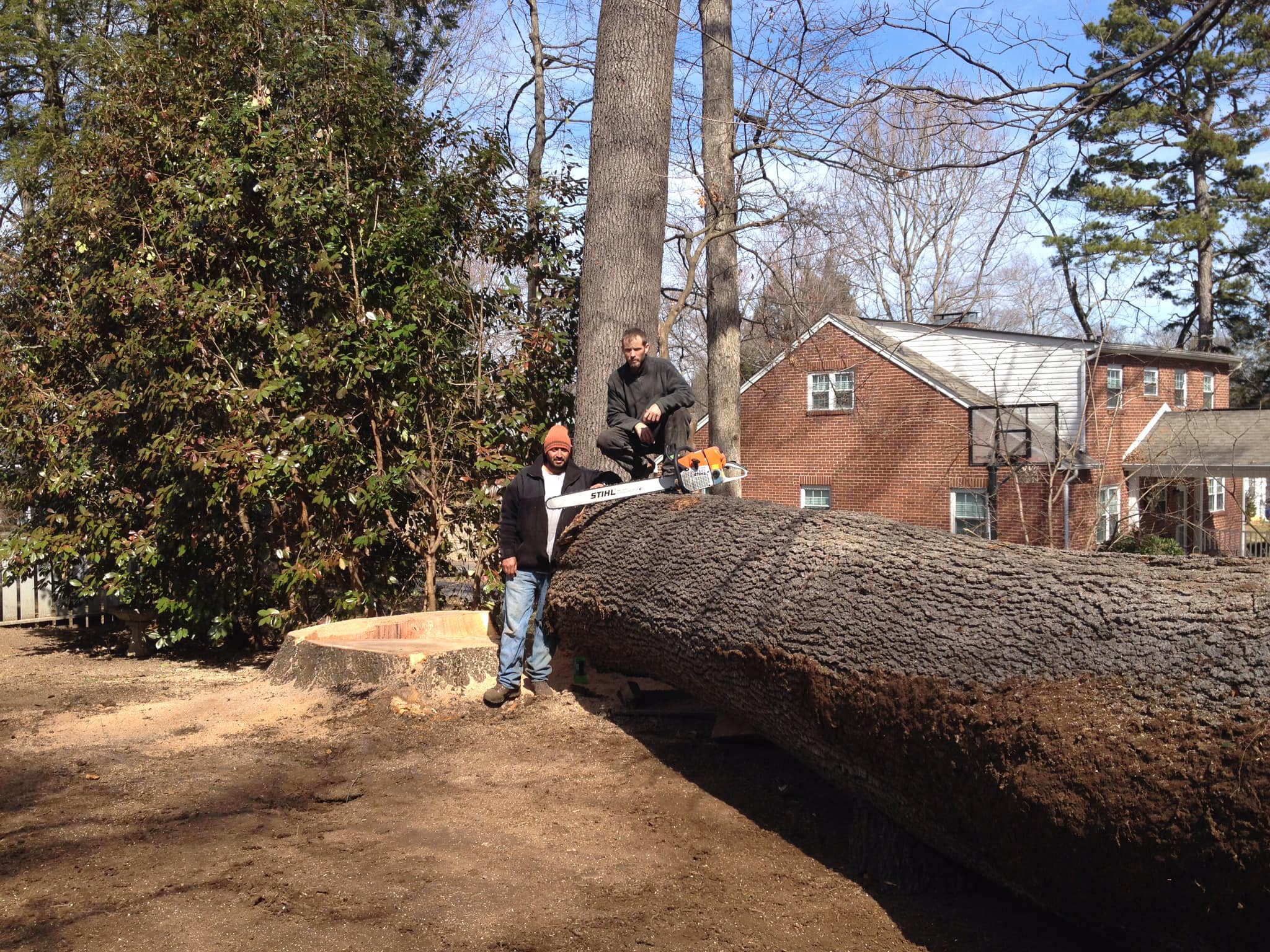 Pro Tree of Knoxville certified arborist assessing a tree in Knoxville, TN