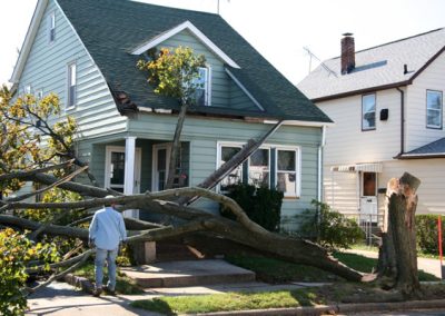 Tree Services Gatlinburg TN