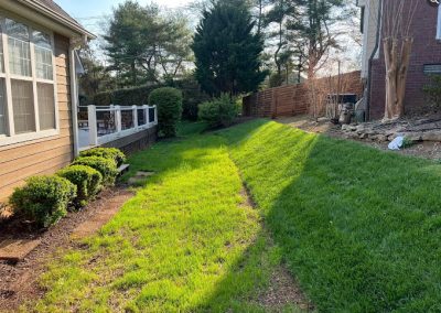 Tree Services Knoxville TN