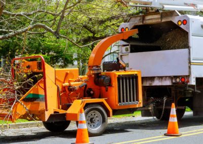 Tree Services Oak Ridge TN