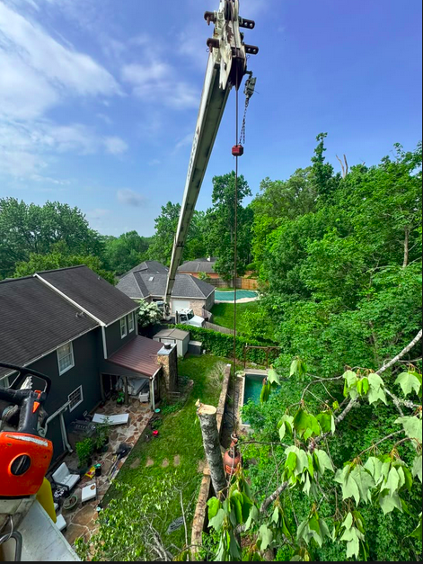 Crane-assisted tree removal lifting cut sections away from a Knoxville home