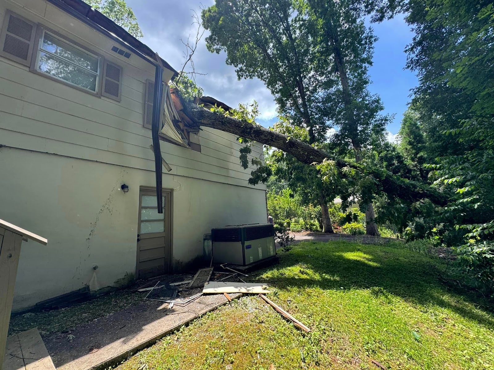 emergency tree service for a knoxville tn
