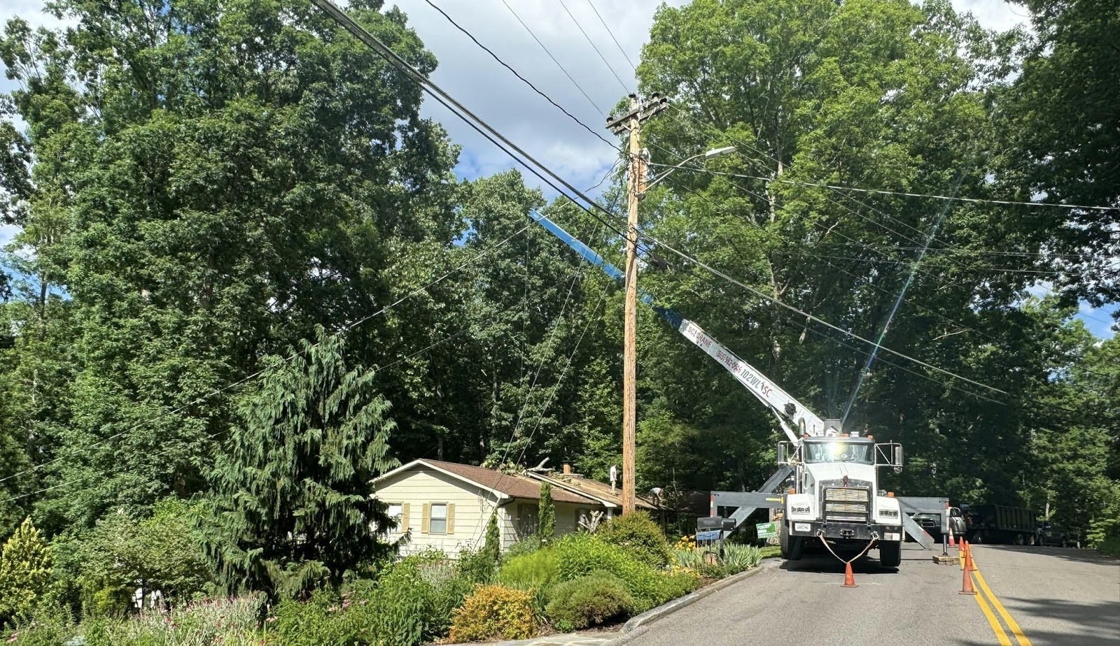 emergency tree service for a knoxville tn