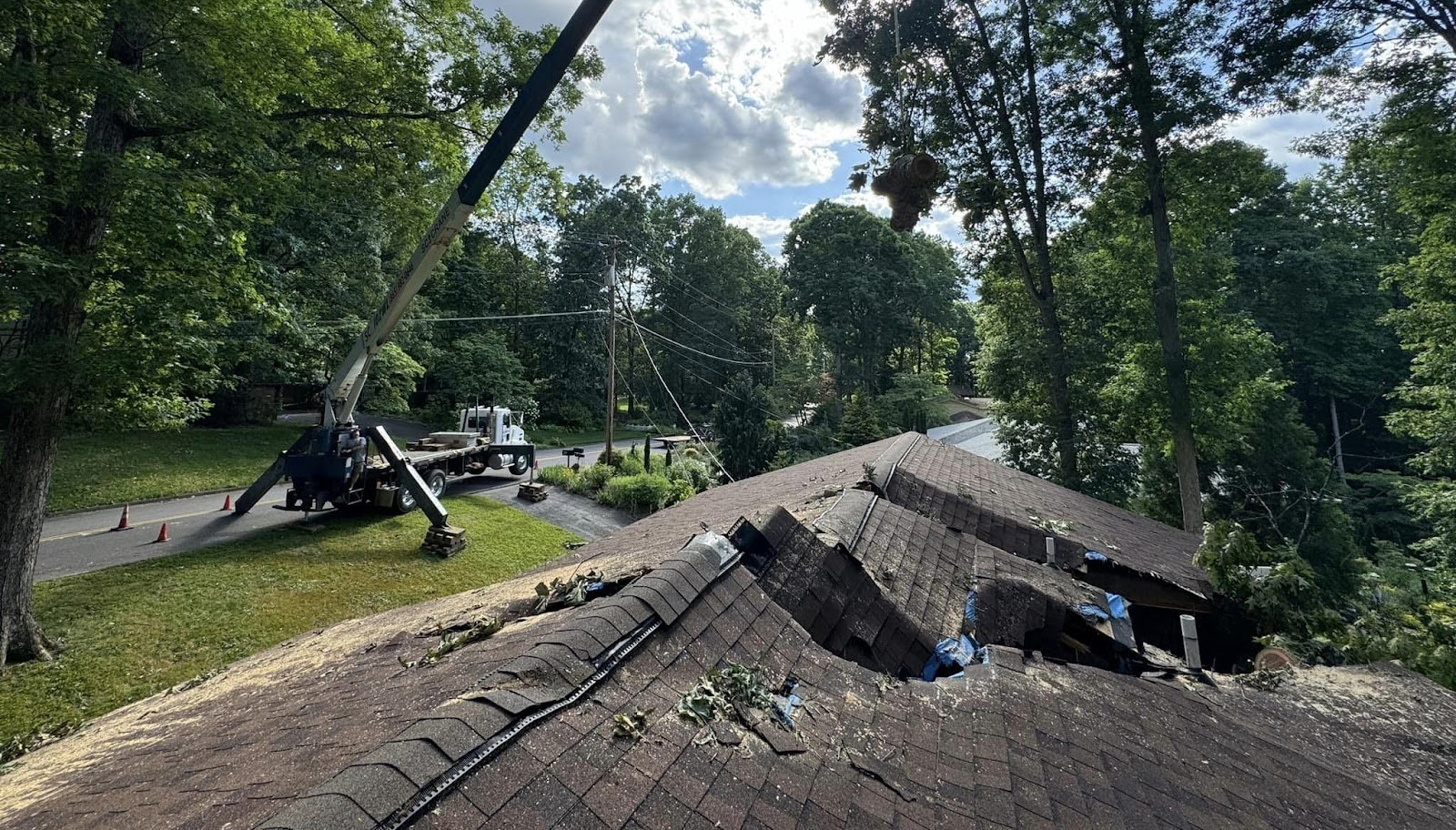 emergency tree service for a knoxville tn