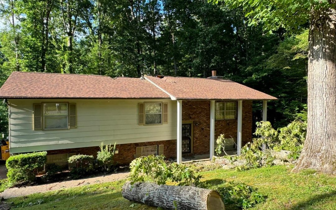 Pro Tree of Knoxville Provided Emergency Tree Service for a Knoxville, TN, Homeowner