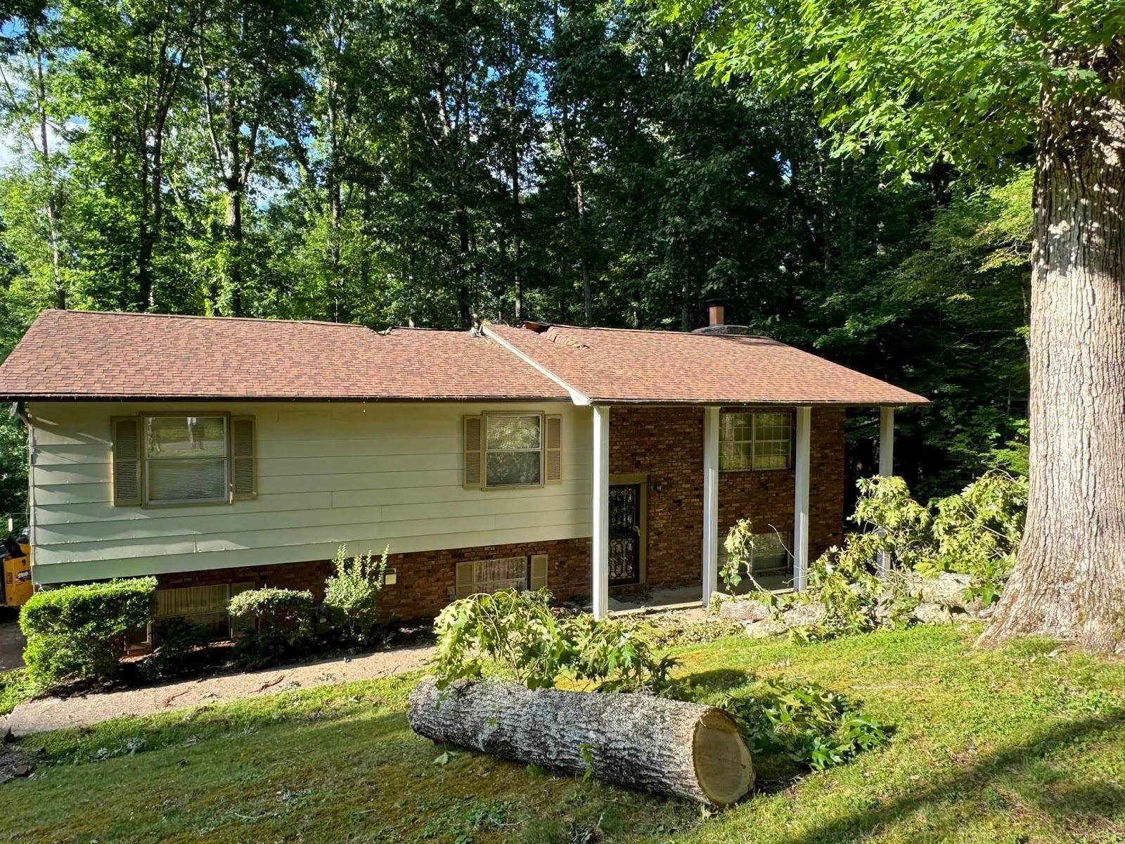 emergency tree service for a knoxville tn