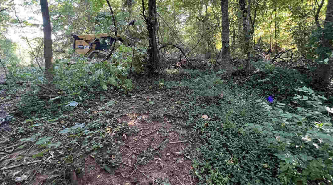 Forestry Mulching vs. Traditional Land Clearing