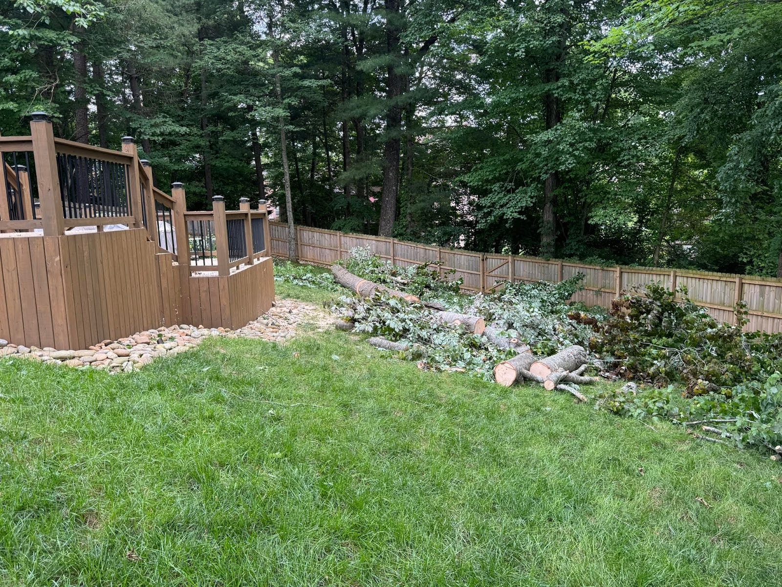 swift tree removal services for knoxville tennessee property owner