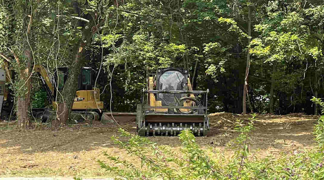 What Is Forestry Mulching and How Can It Benefit Your Land?