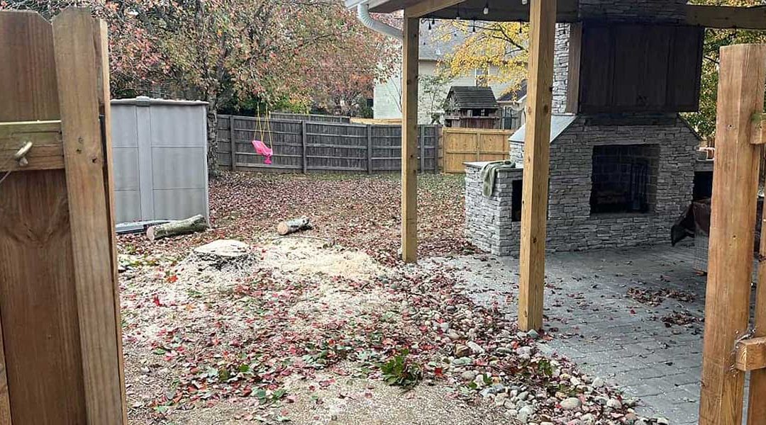 What To Do After Stump Grinding To Restore Your Yard