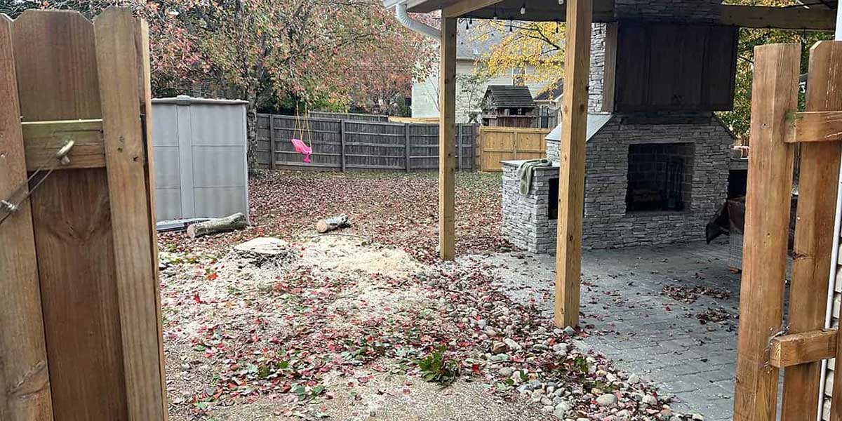 what to do after stump grinding